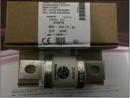 BUSSMANN˿ BS884۶ 315FM