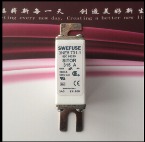 Ƶñ˿315A 690V 3NE8731-1